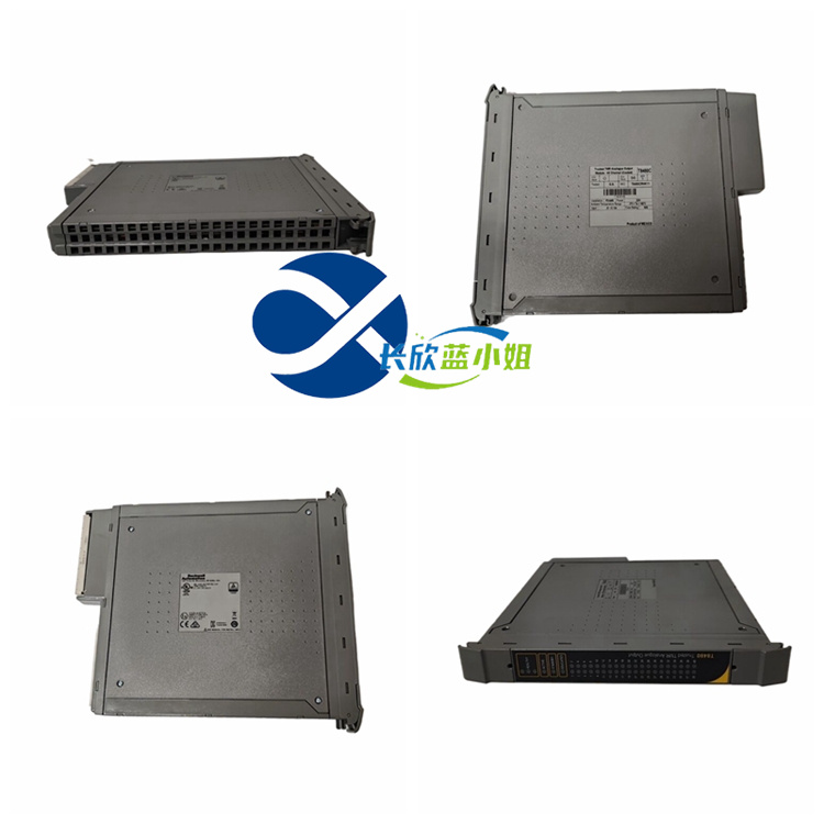 ICS TRIPLEX系列T8480C T8461C进口设备控制应用DCS系统卡件