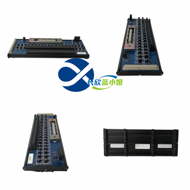 ROCKWELL T8830 应用工业设备欧美进口ICS TRIPLEX控制卡模块
