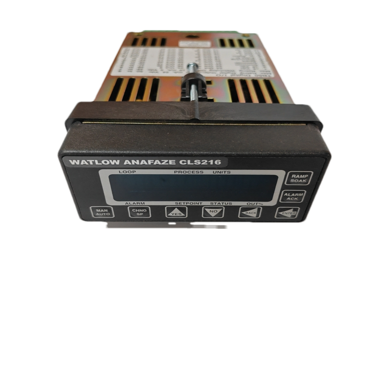 WATLOW  CLS216 进口欧美温度控制器通讯备件供应