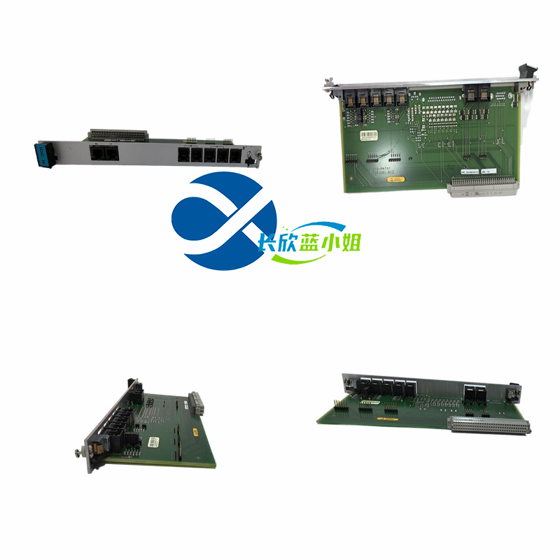 200-566-101-013系列VIBRO-METER VM600 IOCN 振動(dòng)監(jiān)測(cè)輸入輸出模塊